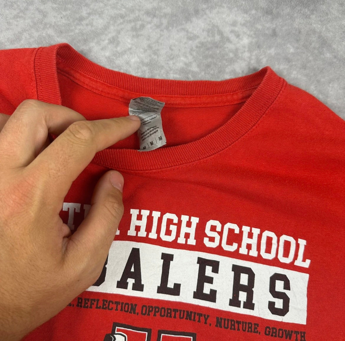 Hollister High School Tshirt (M)