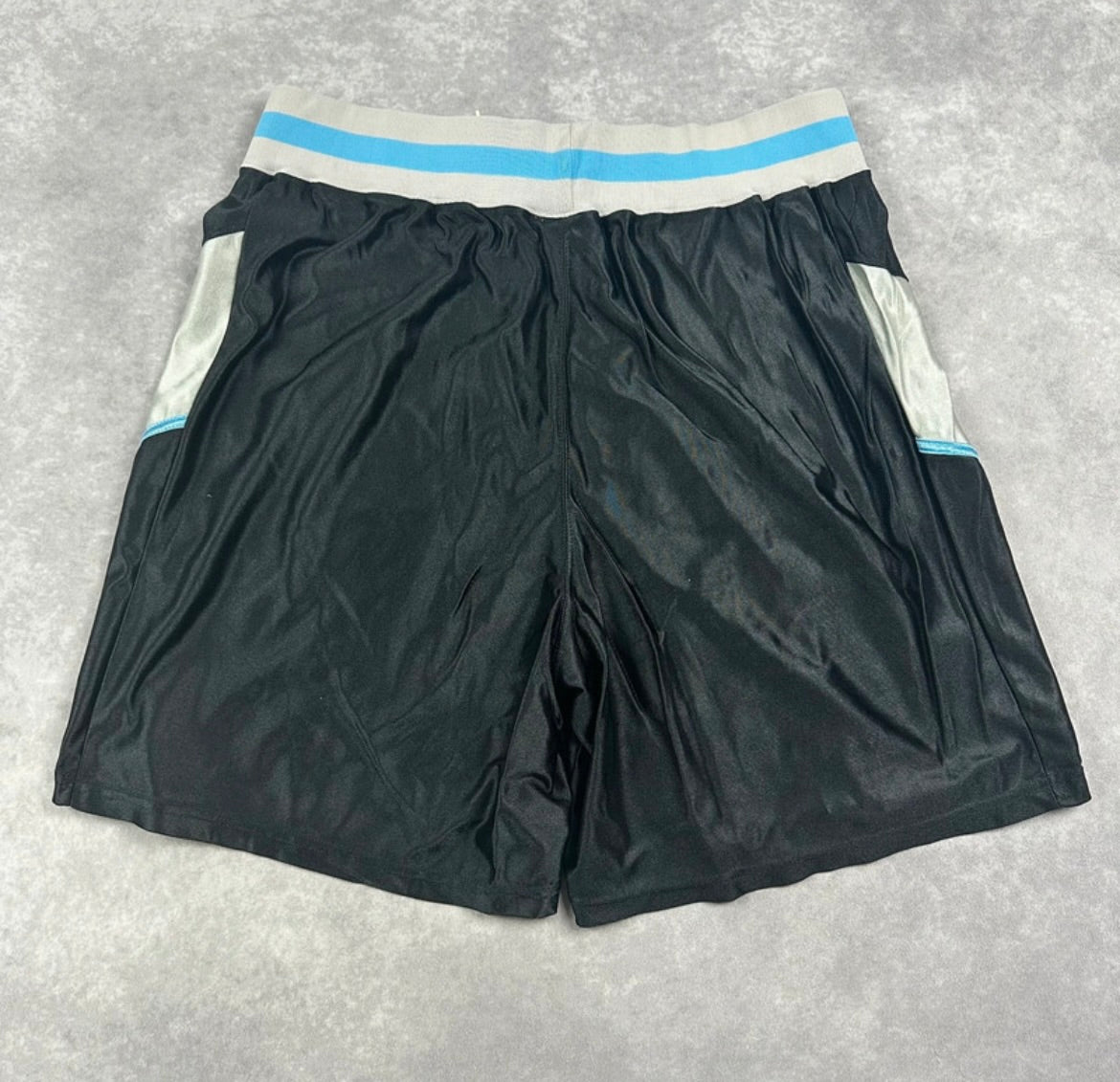 Nike Shorts (XL)